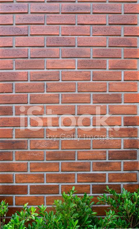 Brick Wall Corner Stock Photo Royalty Free Freeimages