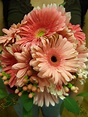 Bridal Bouquet | Gerber daisy bouquet wedding, Gerber daisy bouquet ...