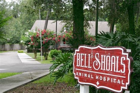 Bell Shoals Animal Hospital Updated April 2024 16 Reviews 1401