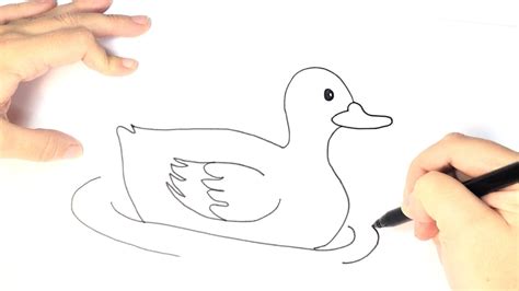 Cómo Dibujar Un Pato Para Niños Paso A Paso Youtube