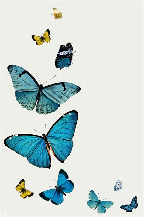 Download Premium Illustration Of Vintage Common Blue Butterflies In
