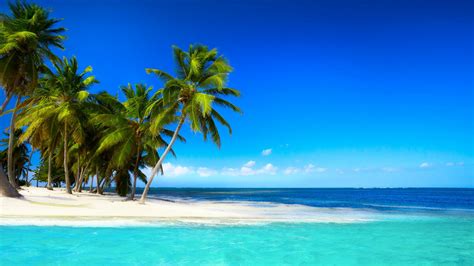 Tropical Beach With Palm Trees Beautiful Sky Blue Sea Tropical
