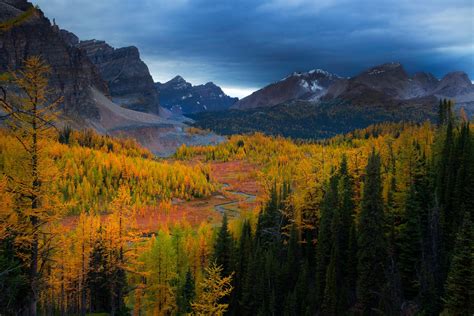 Autumn Mountain Landscape