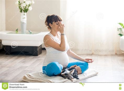 Mujer Embarazada Y Su Perro Casero Que Se Relajan Con Yoga En Casa Foto