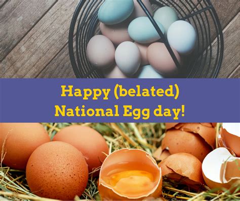 Celebrate National Egg Day Brg Health Bonnie R Giller National