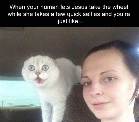 Funny Animal Picture Dump Of The Day 23 Pics Funny Animal Memes
