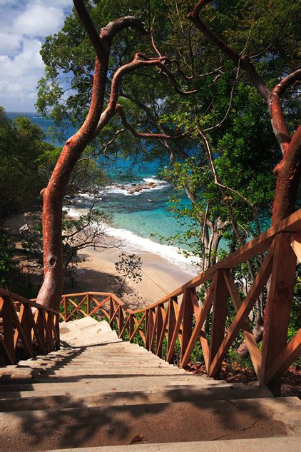 Cap Maison Resort Spa Gros Islet St Lucia Venue Report