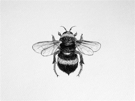 Illustrations Bee Tattoo Bee Bumble Bee Tattoo
