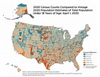 Using Demographic Benchmarks to Help Evaluate 2020 Census Results