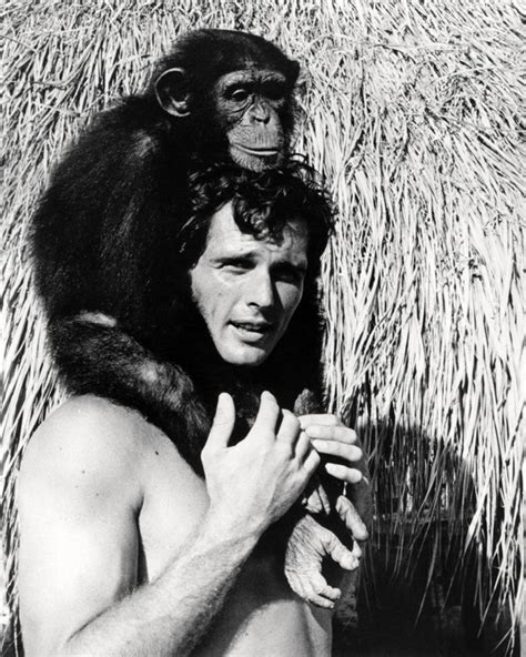 Ron Ely As Tv S Tarzan Posing With Cheetah On His Head 8x10 Photo Moviemarket