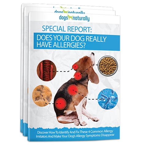 Allergy Relief For Dogs Diy Remedies That Work Dogs Naturally Dog