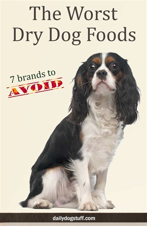 The Worst Dry Dog Foods 7 Brands To Avoid Daily Dog Stuff