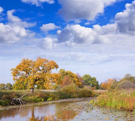 Autumn Landscape With Lake Stock Image Image Of October 17345597