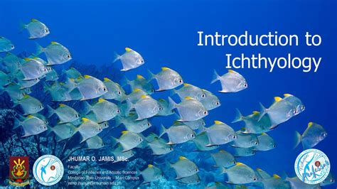 Introduction To Ichthyology Youtube