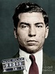 Lucky Luciano Photograph by Granger | Pixels