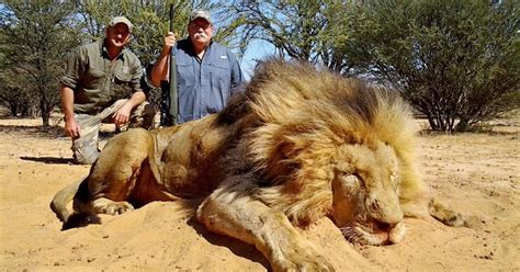 Trophy Hunting A Very British Contribution Animal Charity Animal