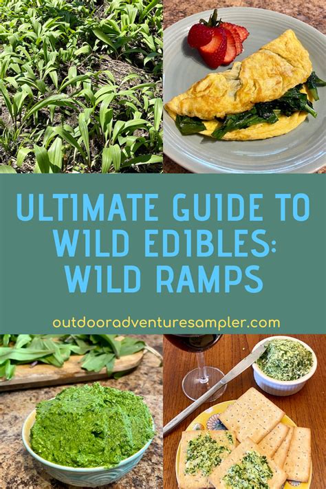 Ultimate Guide To Wild Edibles Wild Ramps Travel Food Wild Ramps