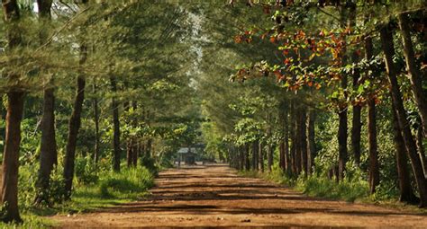 29 november 2010 at 06.anda ingin menghubungi keluarga, kerabat, teman, atau saudara yang saat ini berada di sebelum kita menelpon, maka kita harus mengetahui berapa kode negara, kode area, dan tentunya nomor telepon yang kita tuju. Nomor Telpon Pantai Lamaru : Cara mempertahankan nomor ...