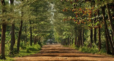 Nomor telepon di indonesia memiliki sistem yang berbeda untuk saluran tanah dan ponsel: Nomor Telpon Pantai Lamaru : Wisata Pantai Dan Wisata Air ...