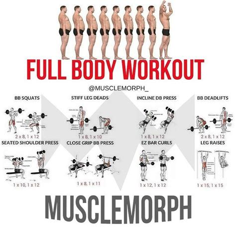 If You Want To Build Muscle Mass There Are Hundreds Of Different