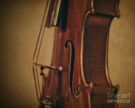 Violin Profile Photograph By Kadwell Enz Fine Art America