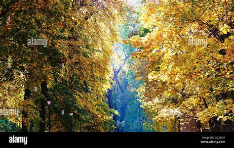 Autumn Park Kiev Ukraine Stock Photo Alamy