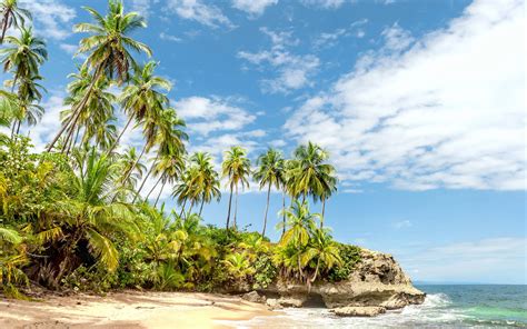 Manzanillo Beach Caribbean Coast Costa Rica World Beach Guide