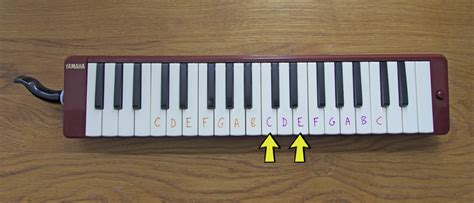Your First Melodica Lesson Melodica World