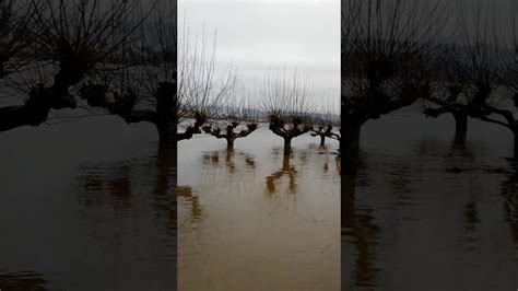 Im sauerland ist ein feuerwehrmann (46) bei einem einsatz gegen das unwetter ertrunken. Bad Breisig Hochwasser 2018 - Rhein Hochwasser 2018 ...