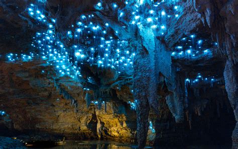 Footwhistle Glowworm Cave Caveworld Ltd Reservations