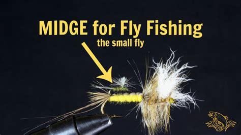 What Is A Midge In Fly Fishing And How To Select The Best Guide