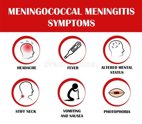 Síntomas De Meningitis Infografía Estilo Caricatura Ilustración Del