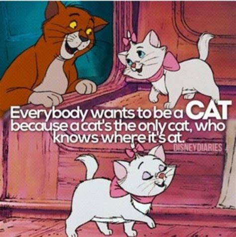 Looking for cat names from movies and tv? Pin on Lines Done Right