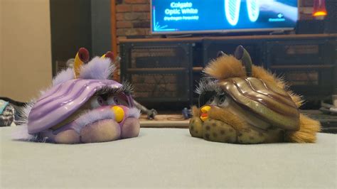 Two Shelby Furbys Singing To Each Other Youtube