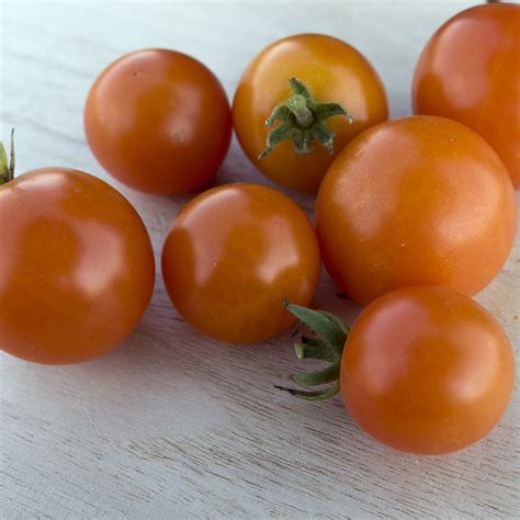 Monarch F1 Hybrid Tomato Seeds 300 Mg Packet Garden Non Gmo