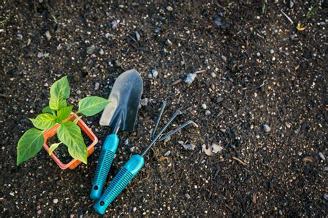 7 Frugal Gardening Tips To Help You Prepare The Prepper Journal