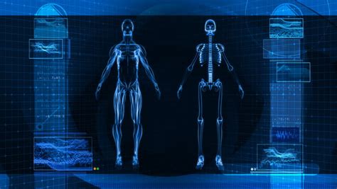 Digital X Ray Scan Of Human Body Hd Stock Footage Video 1762697