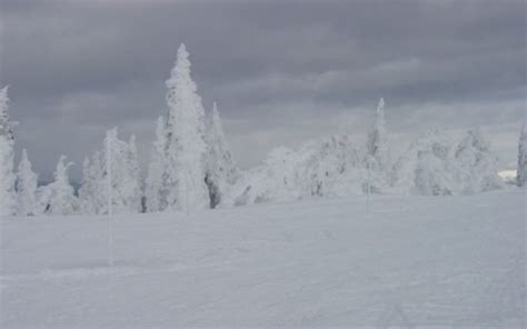 West Yellowstone Snowmobiling Capital Of The World 3 Day Guide