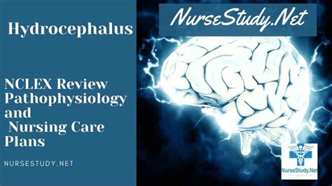 Hydrocephalus Nursing Diagnosis Interventions And Care Plans