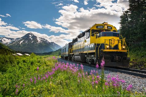 Alaska Railroad Photos By Ron Niebrugge