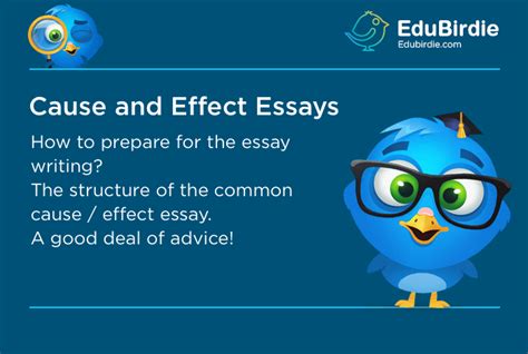 How To Write A Cause And Effect Essay Study Guide