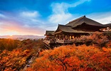 Japan’s Top 20 Three-Star Michelin Spots | All About Japan