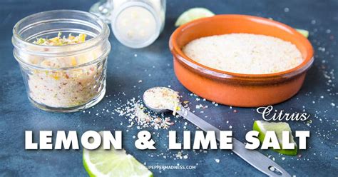 Citrus Lemon And Lime Salt Recipe Chili Pepper Madness