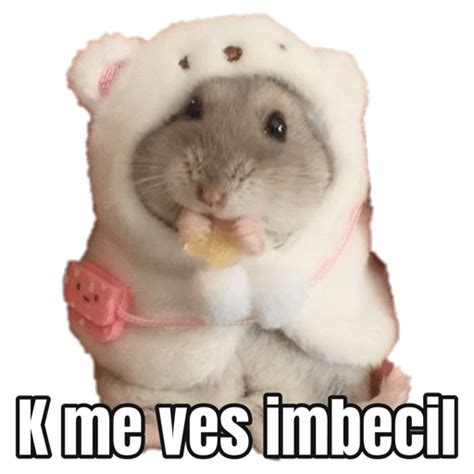 Memes Hamster 🐹