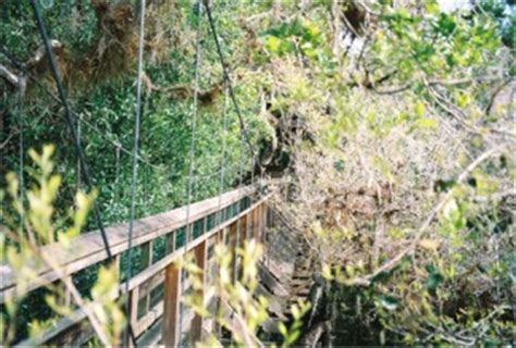 The myakka canopy walkway is located on the southwestern portion of the boylston nature trail. Myakka Canopy Walkway and Observation Tower