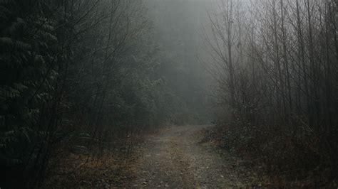 Road Forest Fog Blur 4k Hd Wallpaper