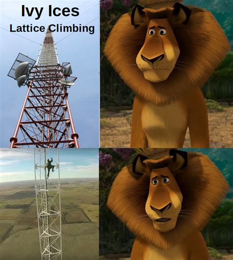 Madagascar Meme Madagascar Movie Trending Memes Hot Wheels Lions Scooby Doo Funny Jokes
