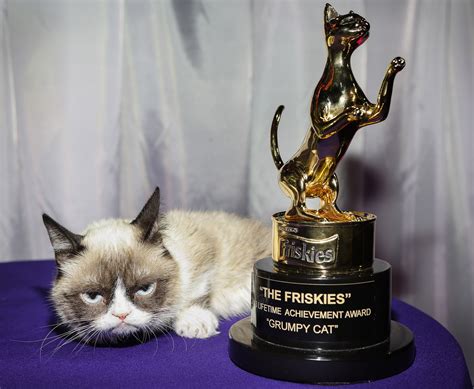 Grumpy Cat Wins Lifetime Achievement Award At The Friskies Awards