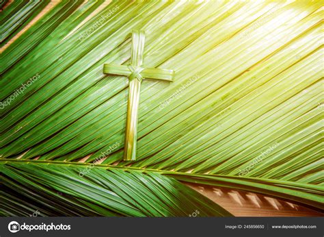 Clipart Palm Sunday Jesus Image