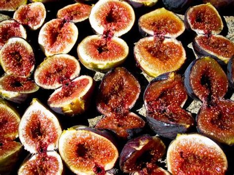 Drying Figs In A Food Dehydrator Dehydrator Recipes Dehydrated Figs
